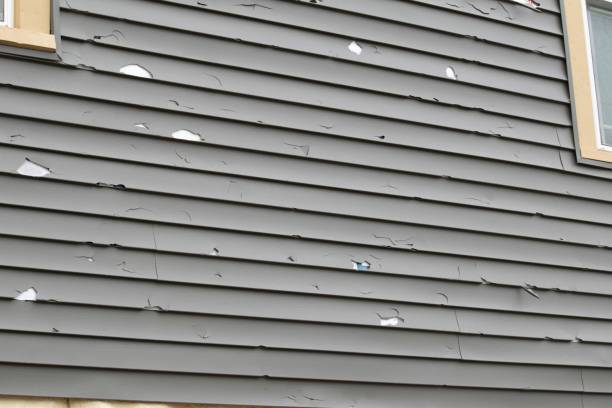 Best Vinyl Siding Installation  in Spotswood, NJ